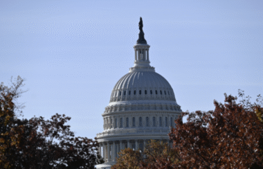 2026 Midterm Elections: Will Voters Support DEI, Snipping Kids, and Open Borders?