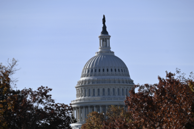 2026 Midterm Elections: Will Voters Support DEI, Snipping Kids, and Open Borders?