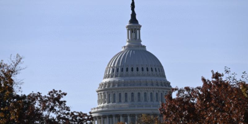 2026 Midterm Elections: Will Voters Support DEI, Snipping Kids, and Open Borders?