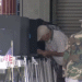 Voting